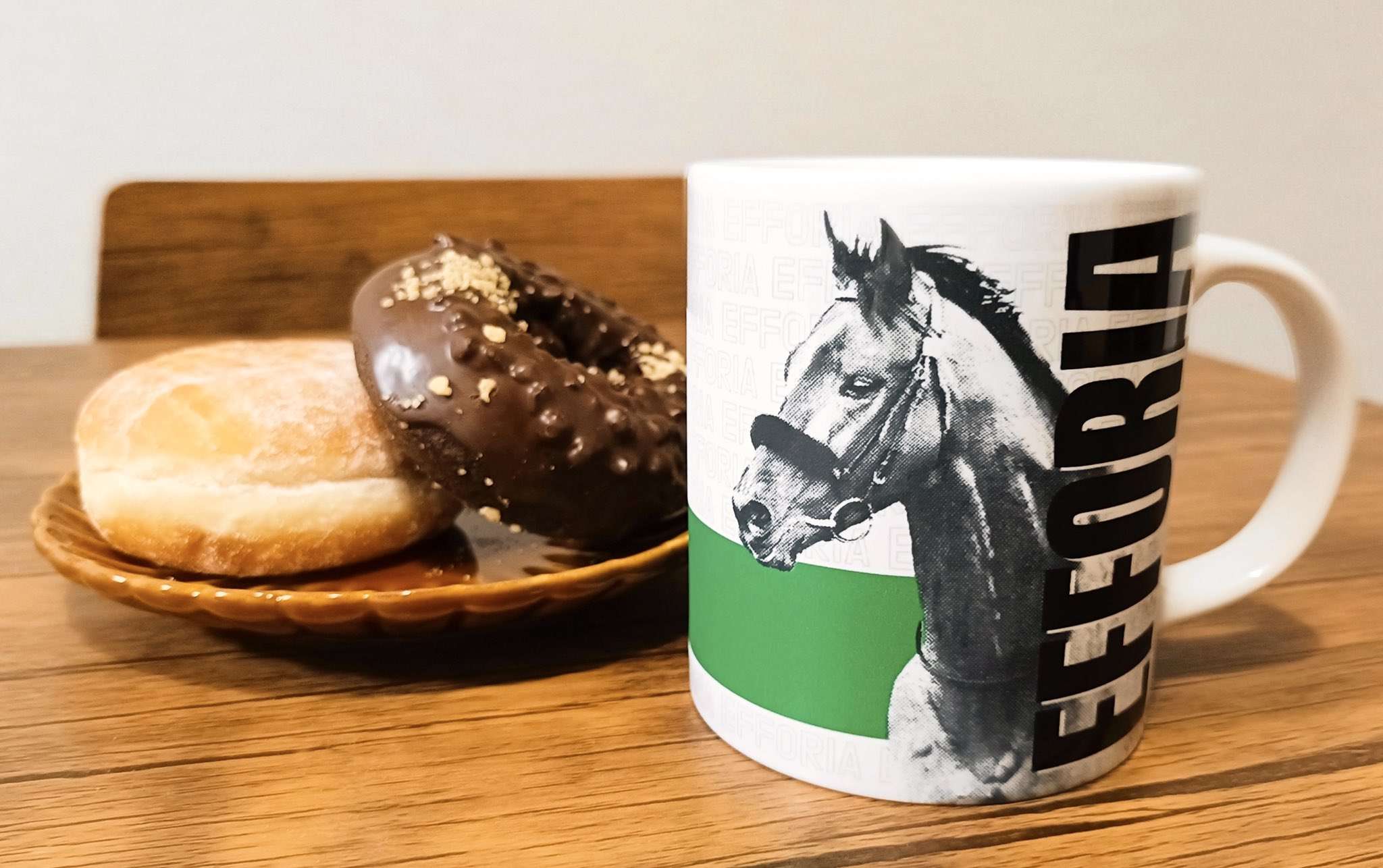 Efforia あさ エフフォーリア NORTHERN Horse Park たてがみ