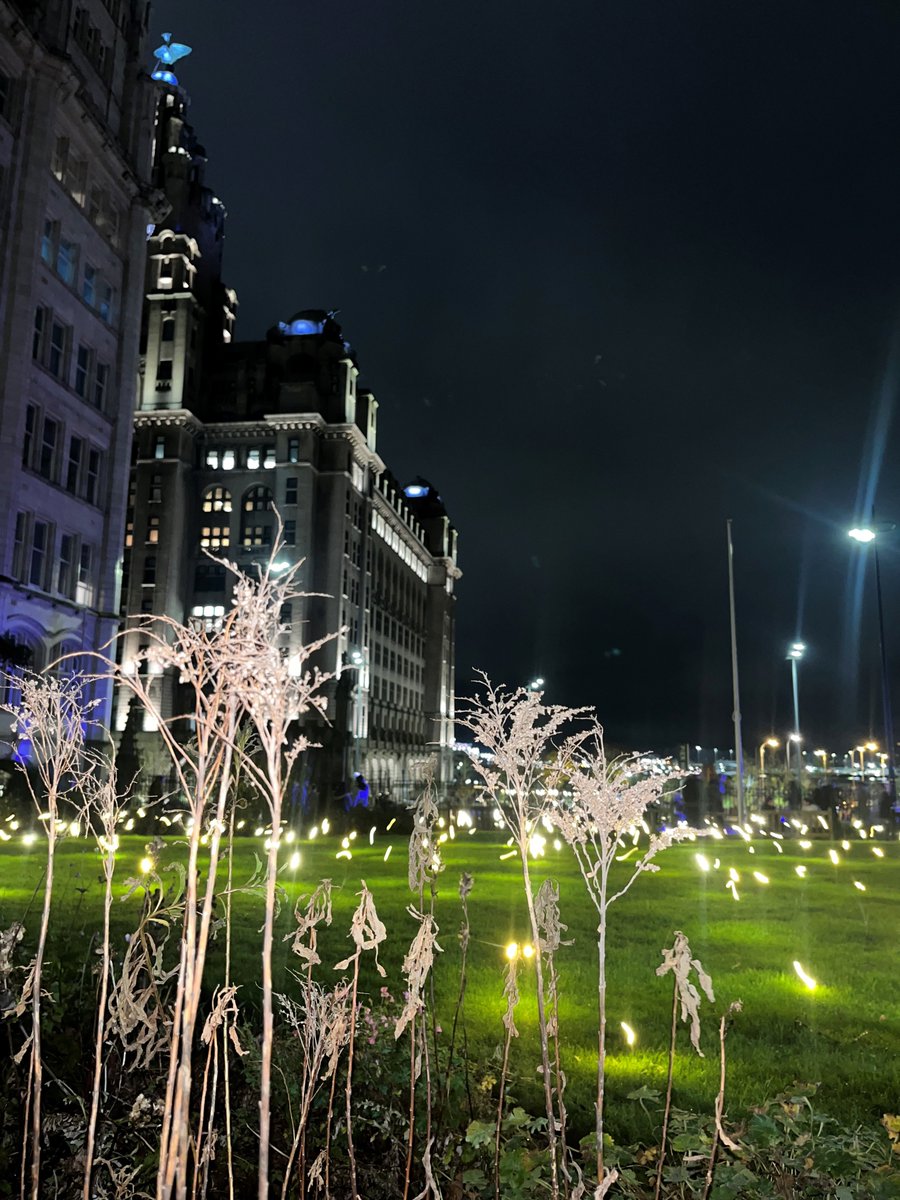 Sophia Hatton ND tweet media