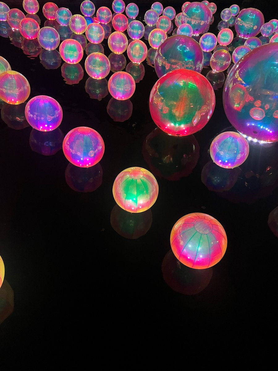 Sophia Hatton ND tweet media