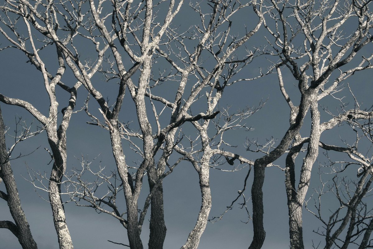 志賀高原も満喫したし、念願の燕岳も行けたし、美味しい居酒屋にも行ったし、今月濃かったな〜〜〜〜！

#10月を写真4枚で振り返る
#tokyocameraclub 
#fujifilm_xseries