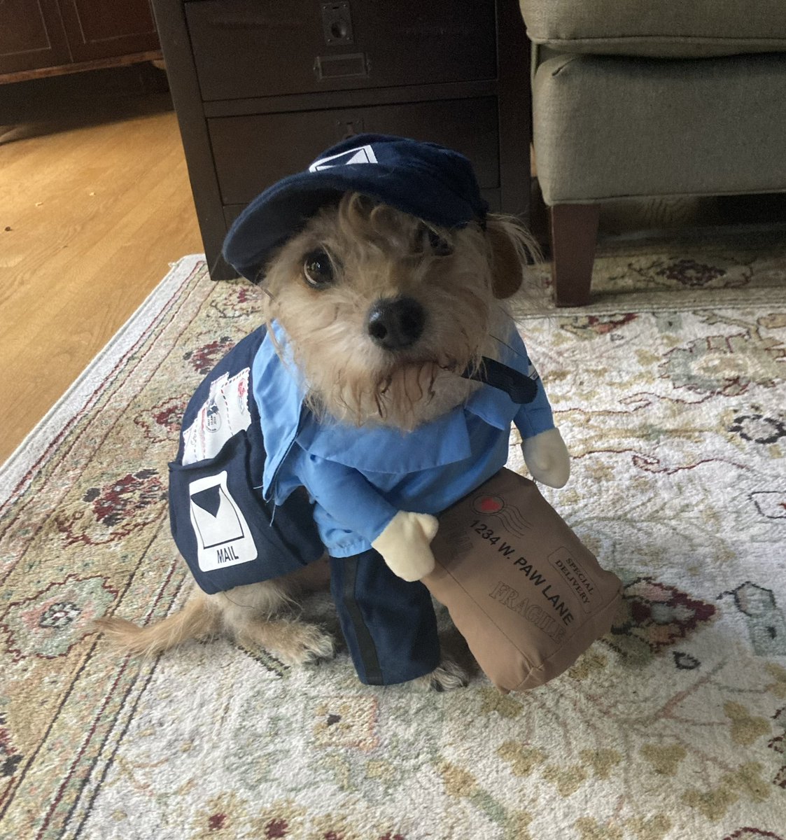 JaredDeMarinis's tweet photo. Happy Halloween- Last Day to early vote in person. Already 1 out of 3 Marylanders have cast their ballots. Let’s go others. VOTE!MD Whether in person or by mail. Make a plan to vote &amp; your voice heard. Who wouldn’t vote by mail with this trusted carrier https://t.co/ovqZG9000H