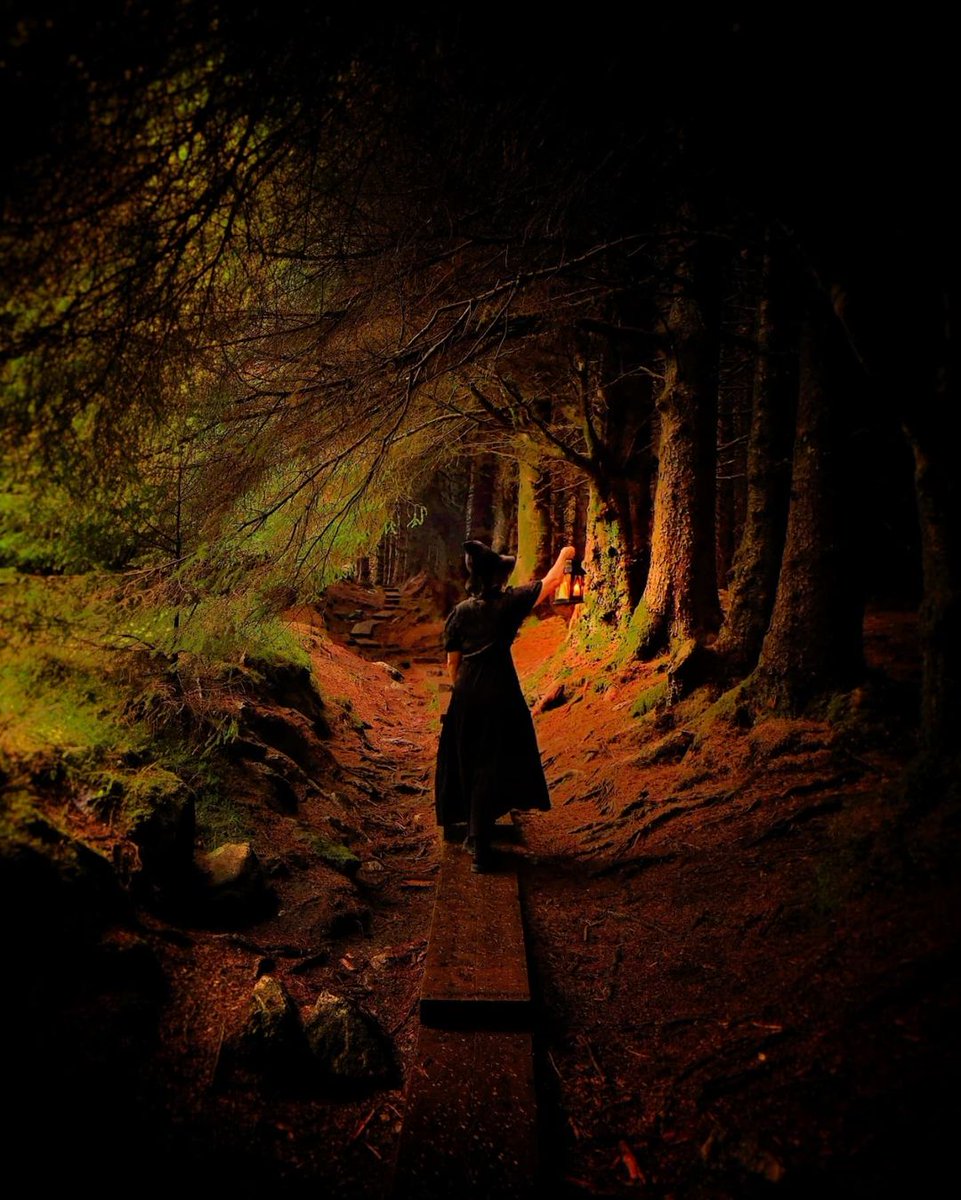 Discover Ireland tweet media