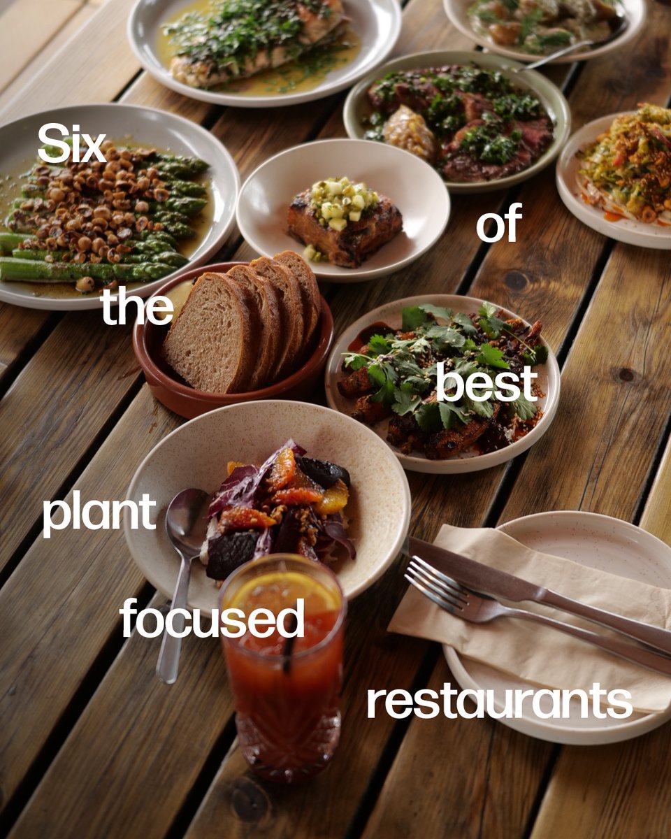 Where once the plant-based dining offering of the British Isles was scarce, today options abound. Secret Trips has curated an edit of half a dozen of the finest.

secrettrips.com/the-edit/six-o…
⁠
#Vegan #Veganrestaurant #foodie #London #travel #explore