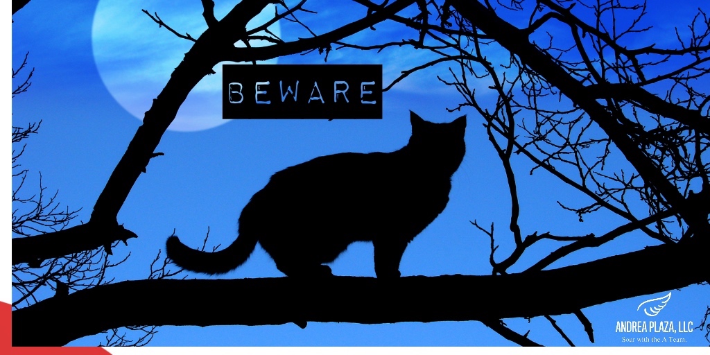 Watch out for mysterious black cats crossing your path this Halloween! Legend has it, they bring spooky luck. 🎃🐈‍⬛ 
#Halloween #SpookyTales #AndreaPlazaPR