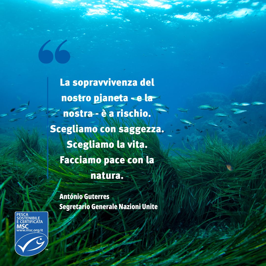 Sta per concludersi la #COP16  con l'intento di aiutare l’umanità a fare “pace con la natura”. Gli oceani - spesso esclusi dalle discussioni politiche - meritano finalmente di essere considerati prioritari nelle strategie e nei piani d'azione nazionali per la #biodiversità.