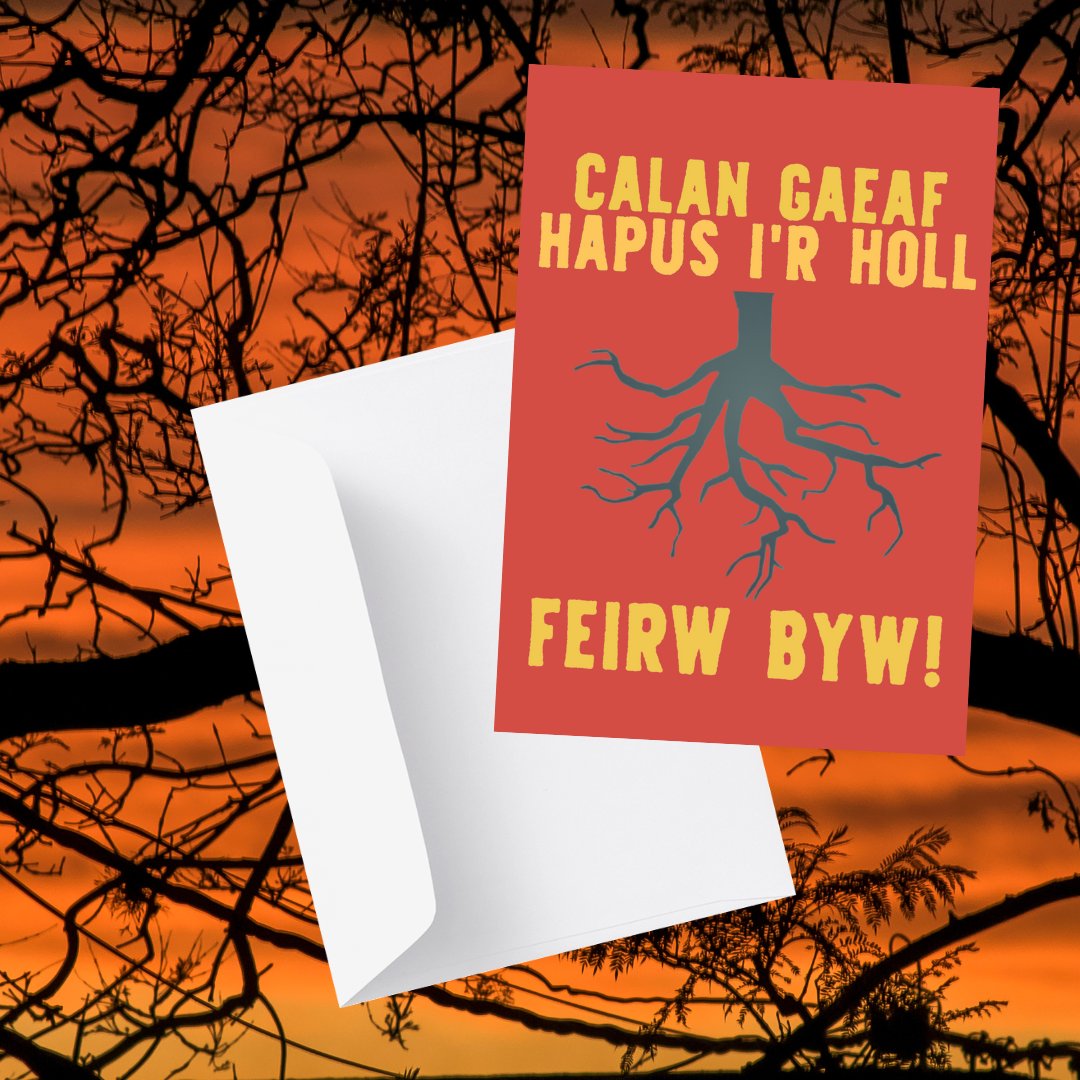 Gwasg Carreg Gwalch tweet media