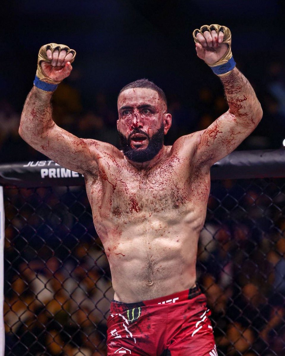 Home of Fight tweet media