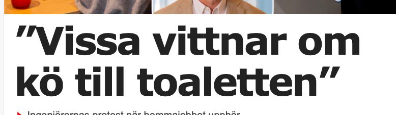 Detta är helt sant. Igår, exempelvis, var vi på ett ställe och jag skulle gå på toaletten. Det visade sig vara kö till toaletten och då vände jag mig till min fru och vittnade: "Det är kö till toaletten."