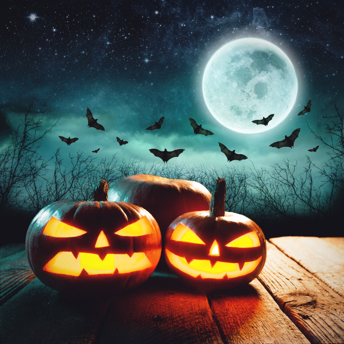 HemnessFallerEL's tweet photo. ✨  The magic of Halloween is in the air! 🎃  Wishing you an evening full of fun, mystery, and a little bit of enchantment. From our team to you, have a safe and spook-tacular Halloween! 🕷️  Enjoy the magic of the night! #HalloweenVibes #StaySpooky #HappyHalloween https://t.co/PrHBenTrBv