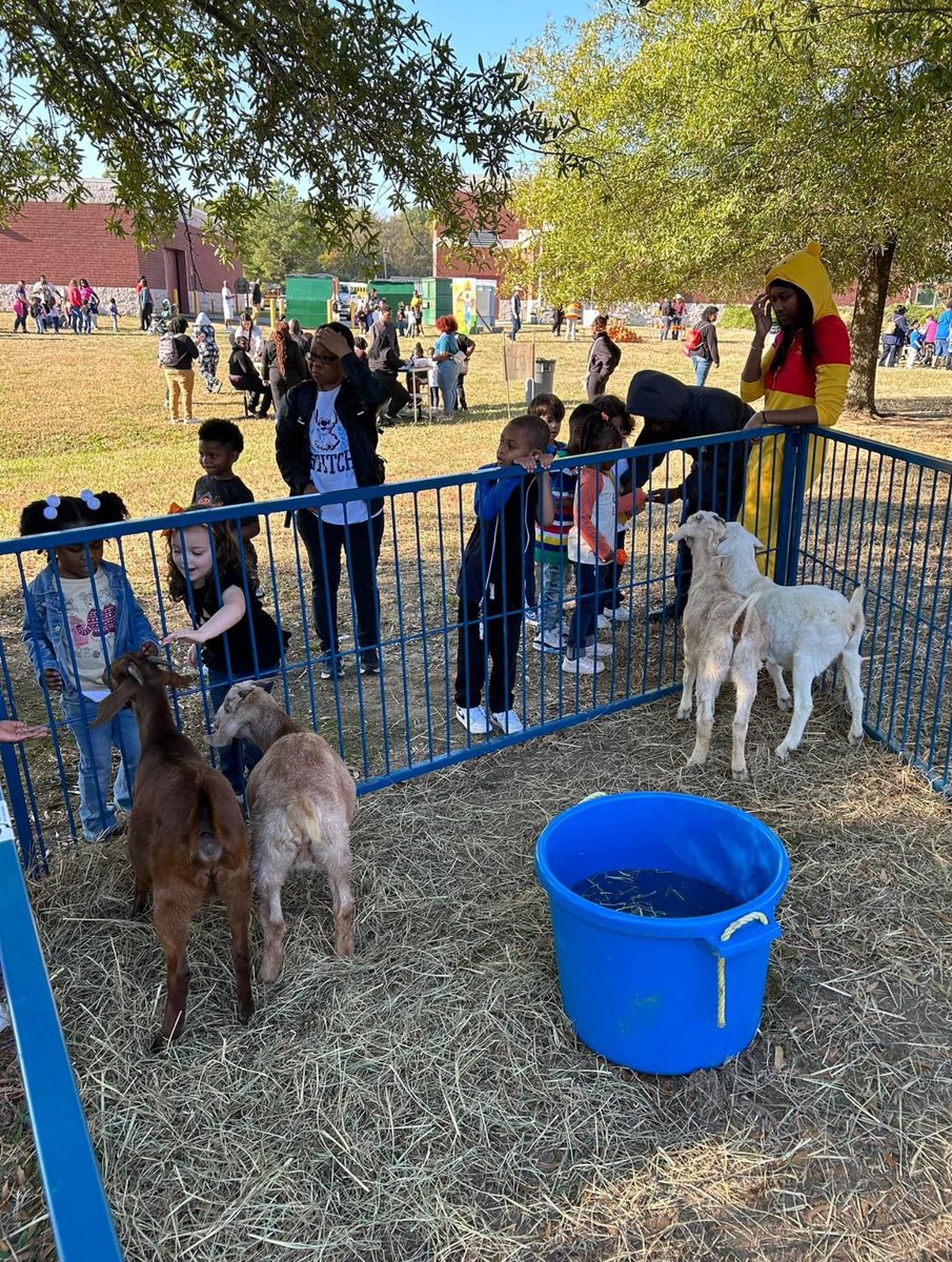 LTMHSCrusaders's tweet image. Day 2 of our Harvest Festival was awesome with Nova Pre-K! They enjoyed hands-on activities:

🐐 Petting zoo &amp;amp; hay rides by Ag scholars
🍪 Cookie decorating by Culinary
🎨 Face painting &amp;amp; pumpkin decorating by Art
💅 Nail decorating by Cosmetology

🌻🍁 #TechPride