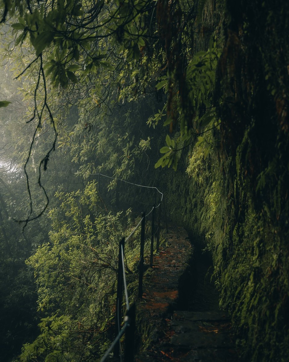 Middle Earth (@pictureserenity) on Twitter photo 