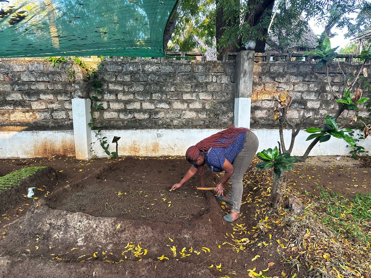 Congratulations to <a href="/SeyGroup/">Shella Environmental Youth Group.</a> on the launch of Leta Shamba Nyumbani! This inspiring initiative empowers vulnerable women (widows, young mothers, and persons with disabilities) through climate-resilient agriculture, bringing sustainable kitchen gardens to their homes.