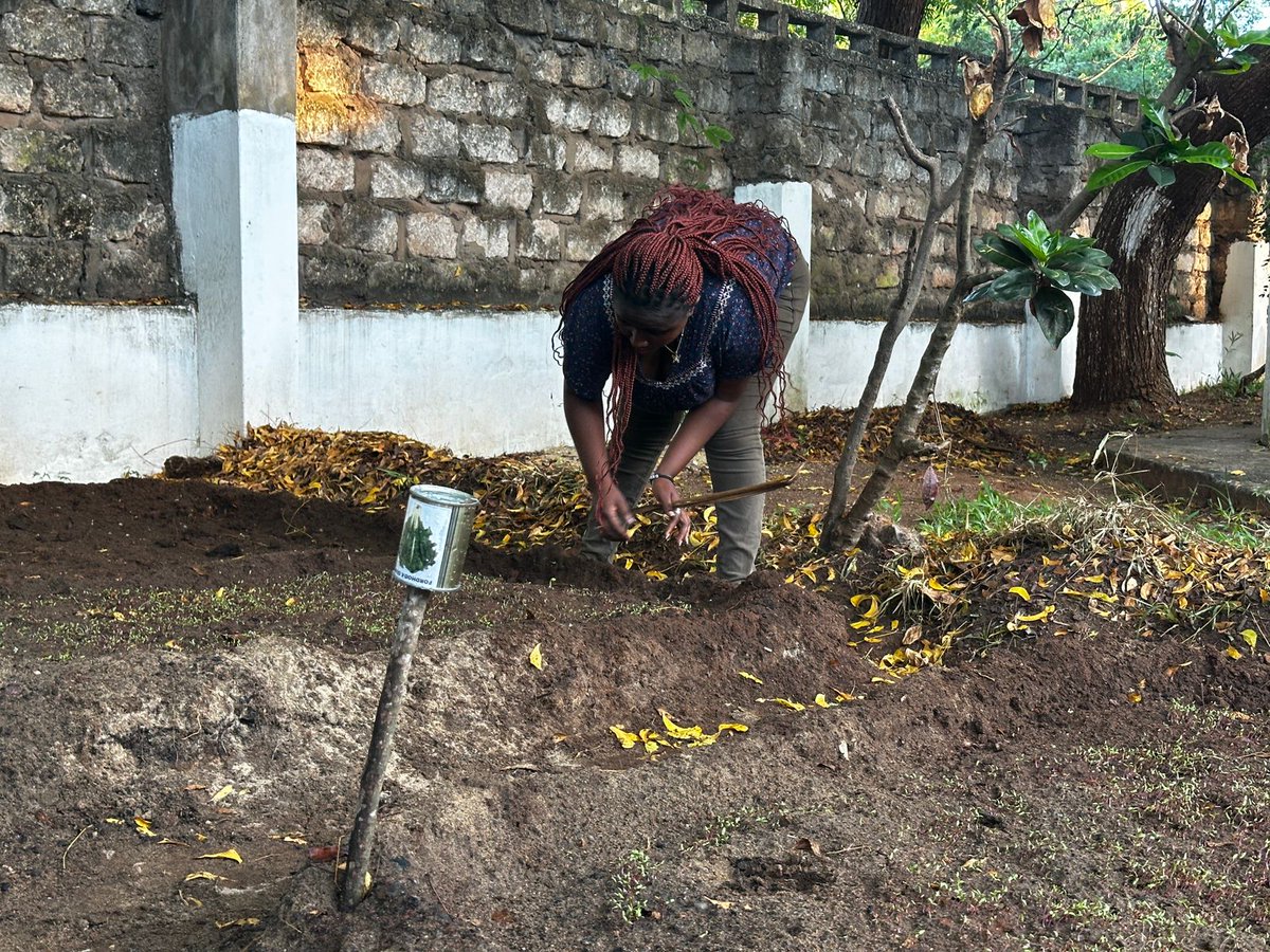 maono_space's tweet photo. Congratulations to @SeyGroup on the launch of Leta Shamba Nyumbani! This inspiring initiative empowers vulnerable women (widows, young mothers, and persons with disabilities) through climate-resilient agriculture, bringing sustainable kitchen gardens to their homes. https://t.co/1X0Ym8VsGw