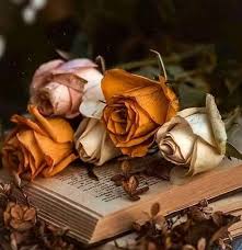 Umudu Yaşatanlara  Sevgiyi Paylaşanlara  Gönlümüze Dokunanlara