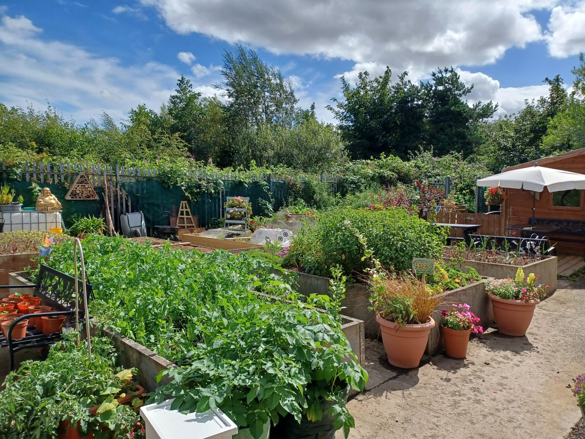 belfastcc's tweet photo. News:  Community gardens, residents’ front gardens and city centre streets are among winners at this year’s Belfast in Bloom Awards https://t.co/CC5Pab8rLb

@micky_murray @LinenQuarterBID @ErrigleInn @MementoBelfast @VisitBelfast https://t.co/96Q7IbJ4eH