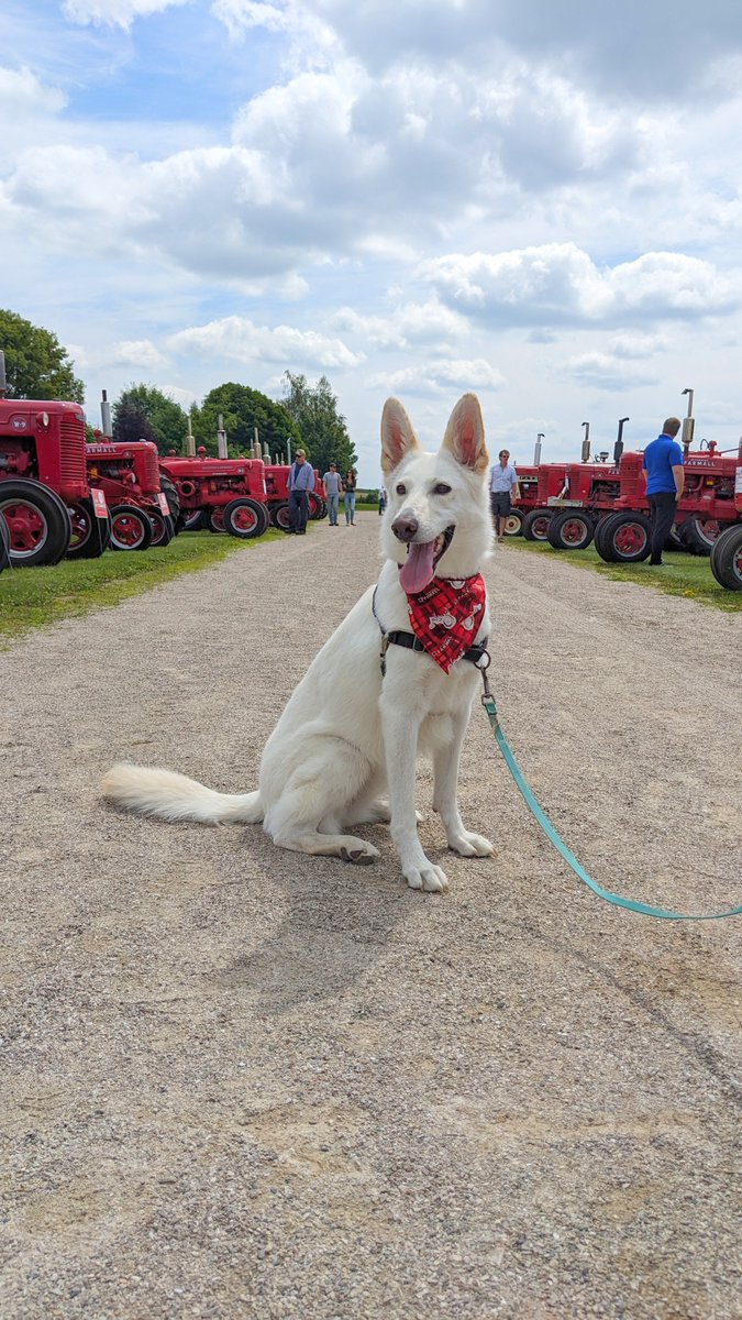 Equipment Ontario tweet media