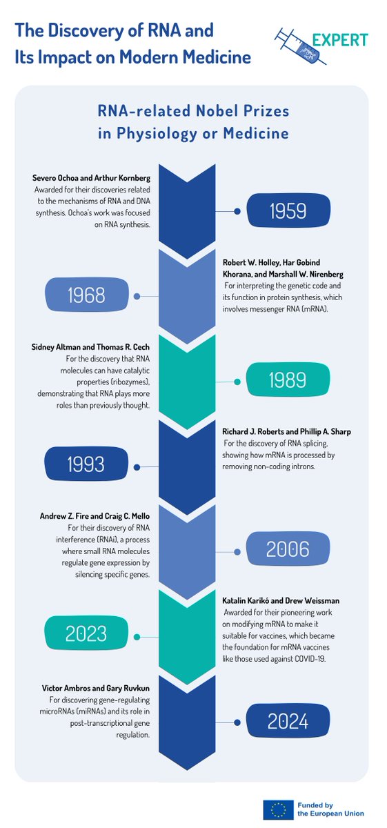 Nobel Prizes in Physiology or #Medicine have a rich history of recognising groundbreaking #RNA #research.

Do you know how many have been awarded over the past decades?

Discover more in our #EXPERT graphic!