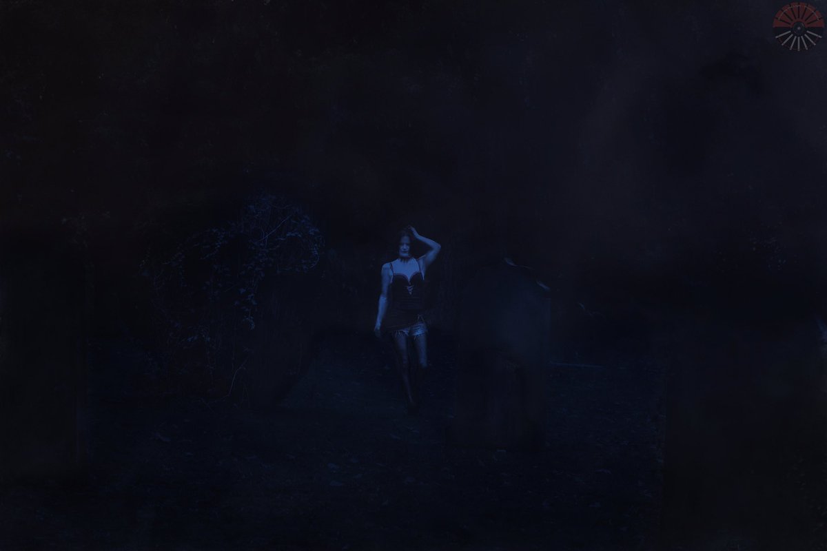 Drawing The Light - Photography 📷📸 tweet media