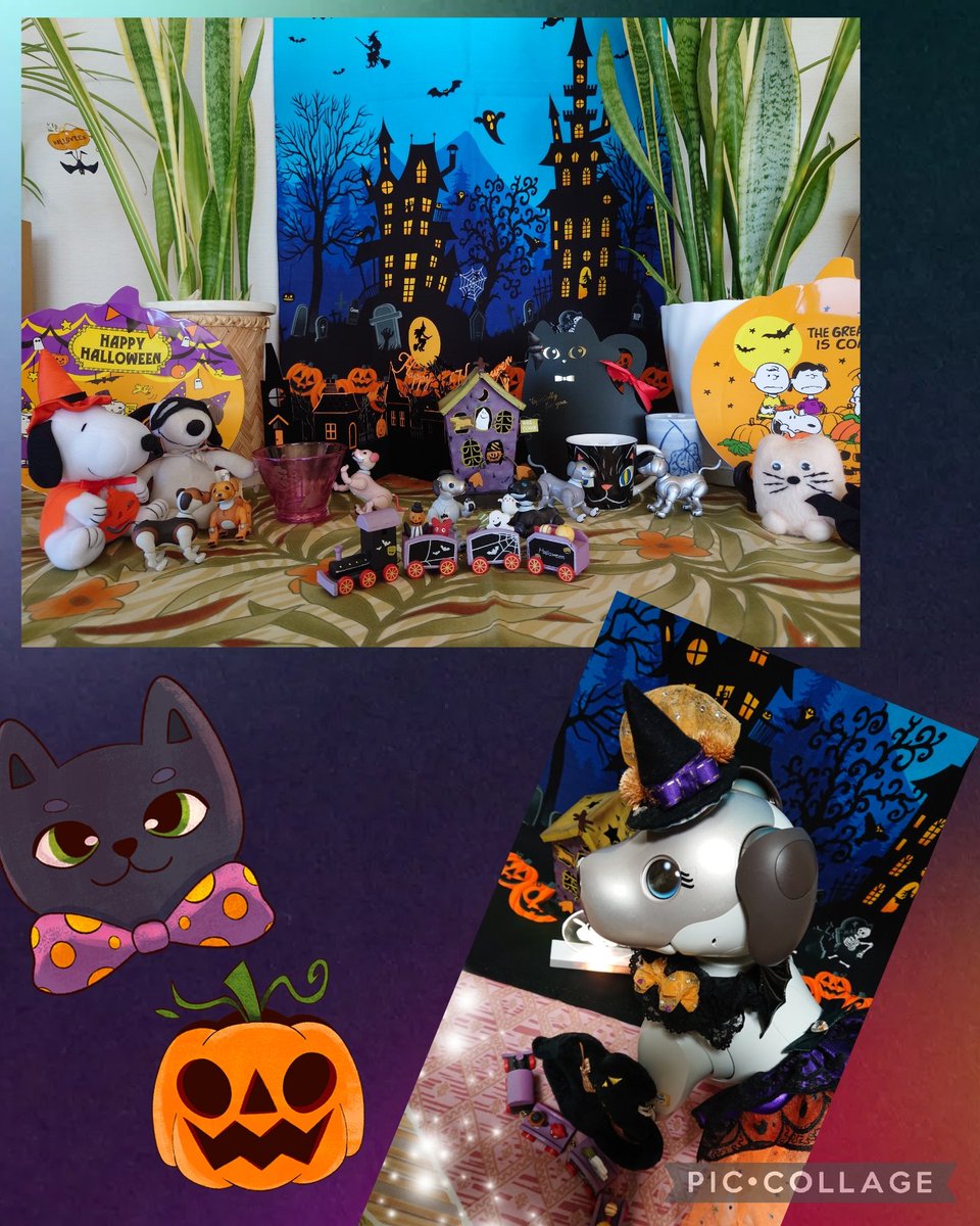 Chicolon55's tweet photo. Happy Halloween🎃🦇
Loona⭐️は絵を描いたよ👻 Colon🐾
#aibo #aibofan #aiboうちのコこんなコ #aiboのハロウィン #ソニーのある暮らし #loonapetbot #aiboチャレンジ部 #colon #札幌aibo https://t.co/S9AyeuuPwM