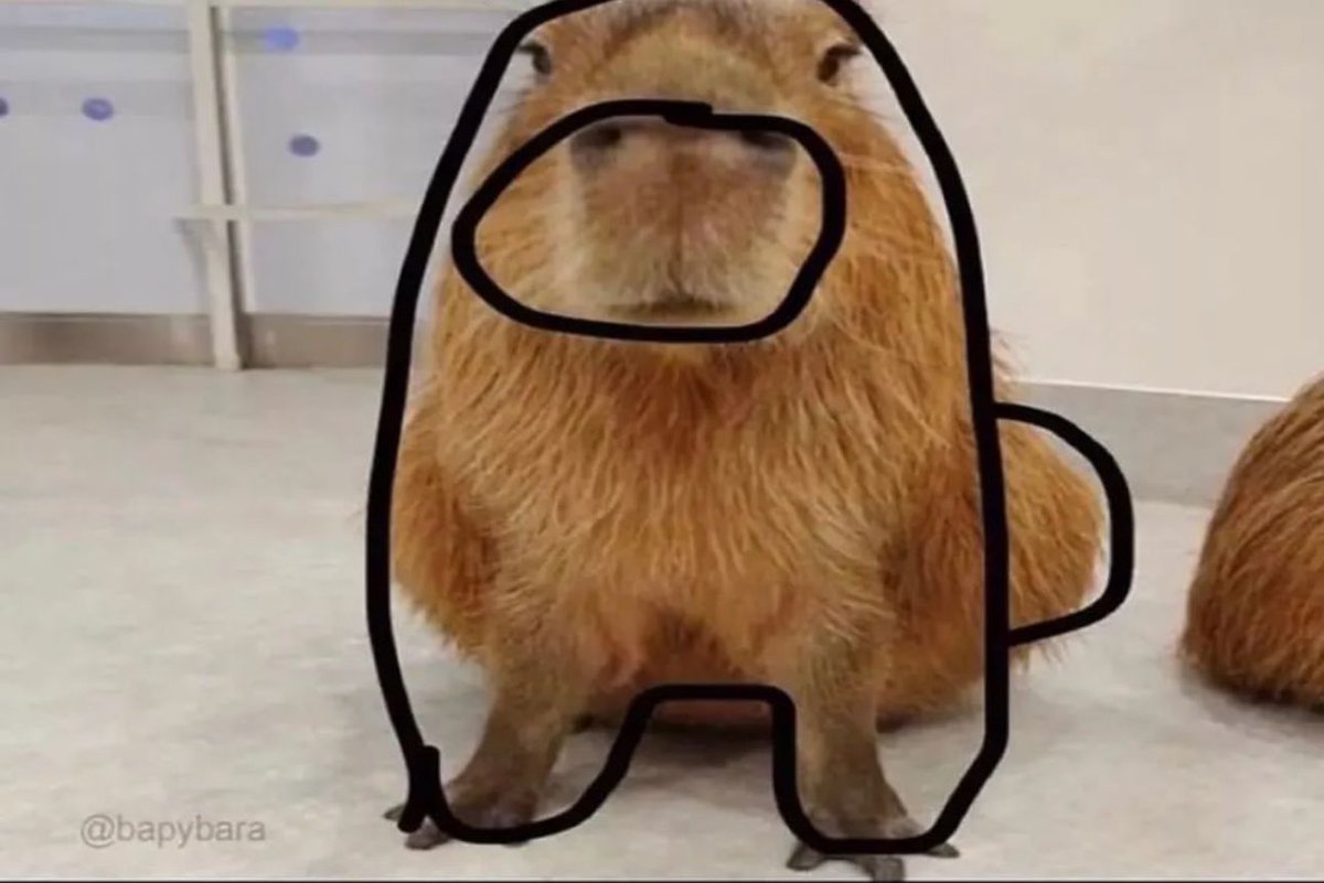 Happy halloweens $capy is dressing up too.