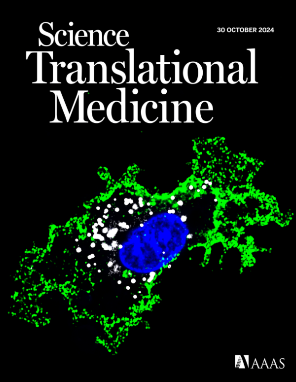 myCerezo's tweet photo. Out now: Lipid loaded macrophages in human glioblastoma🧠
Lead by Valeria Governa and today out in STM, this project accepted the difficult challenge of characterizing lipid loaded macrophages in highly complex but information-rich GBM patient samples. https://t.co/xHWiDiTQlm