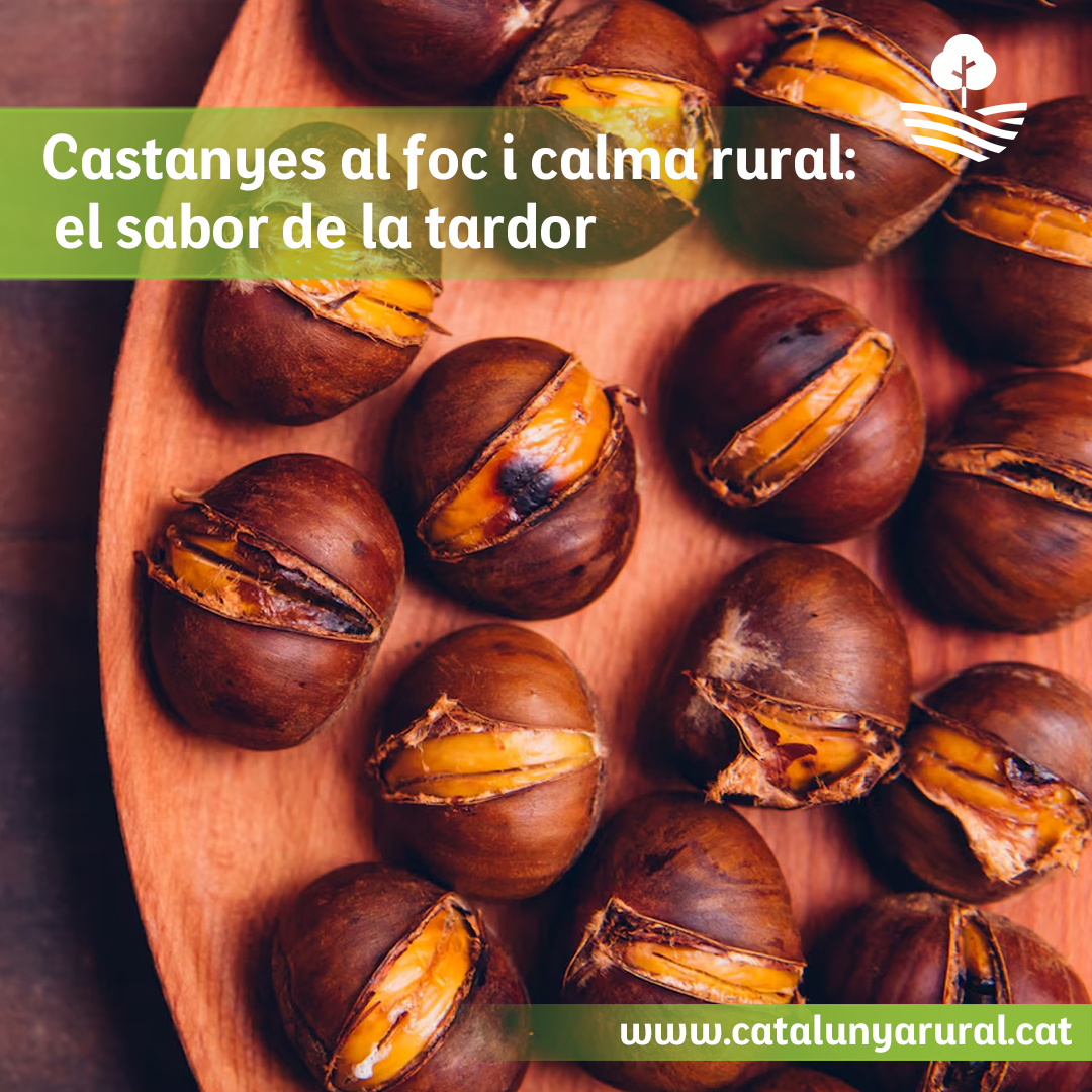 Castañas al fuego 🔥

Los alojamientos rurales son perfectos para disfrutar del calor de la chimenea, cocer castañas y crear recuerdos entrañables. Vive un otoño rodeado de tranquilidad y naturaleza.

Reserva en catalunyarural.cat 🌾  

#OtoñoRural #CatalunyaRural