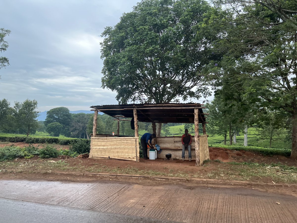 nawsheenh's tweet photo. Just outside Blantyre City, we have started to see tea plantations.
It’s also getting colder.
#CDRFIForum https://t.co/MPvkn5ai6l