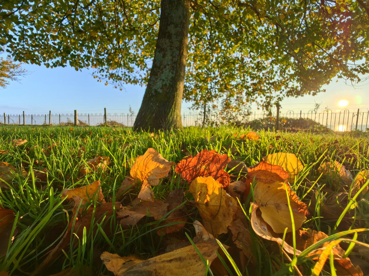 MandhariNadezna's tweet photo. Penarth, Vale of Glamorgan.

@S4Ctywydd

Morning of 31st October 2024 https://t.co/glwzG4SjrZ