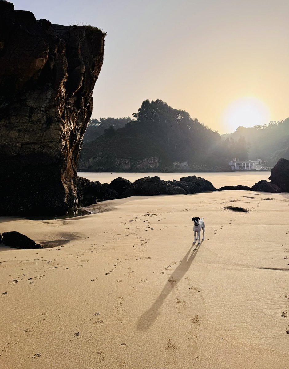 Santi Villa tweet media