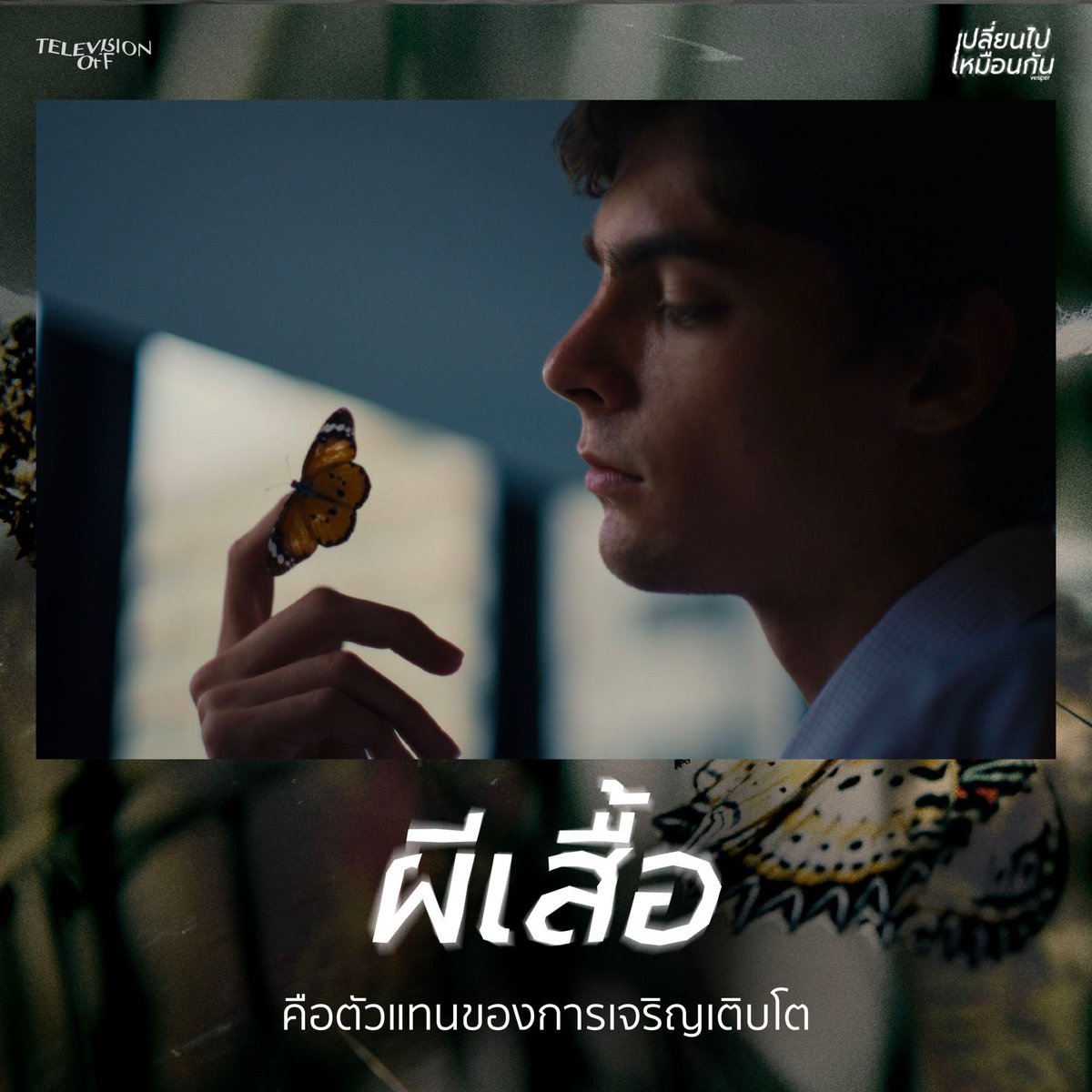 Televisionoffff's tweet image. MV เปลี่ยนไปเหมือนกัน (Vesper) 
ซ่อน ’ผีเสื้อ’ มาเป็นตัวแทนเรื่องอะไรบ้างนะ ? 🦋

#เปลี่ยนไปเหมือนกัน #Vesper #Televisionoff #Smallroommusic