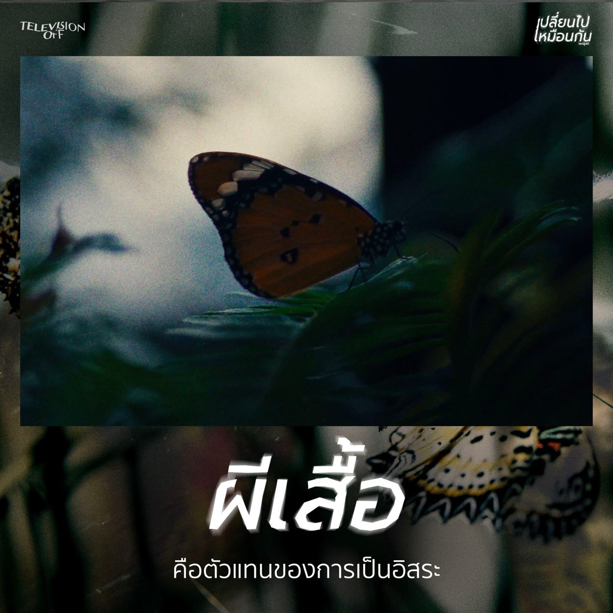 Televisionoffff's tweet image. MV เปลี่ยนไปเหมือนกัน (Vesper) 
ซ่อน ’ผีเสื้อ’ มาเป็นตัวแทนเรื่องอะไรบ้างนะ ? 🦋

#เปลี่ยนไปเหมือนกัน #Vesper #Televisionoff #Smallroommusic