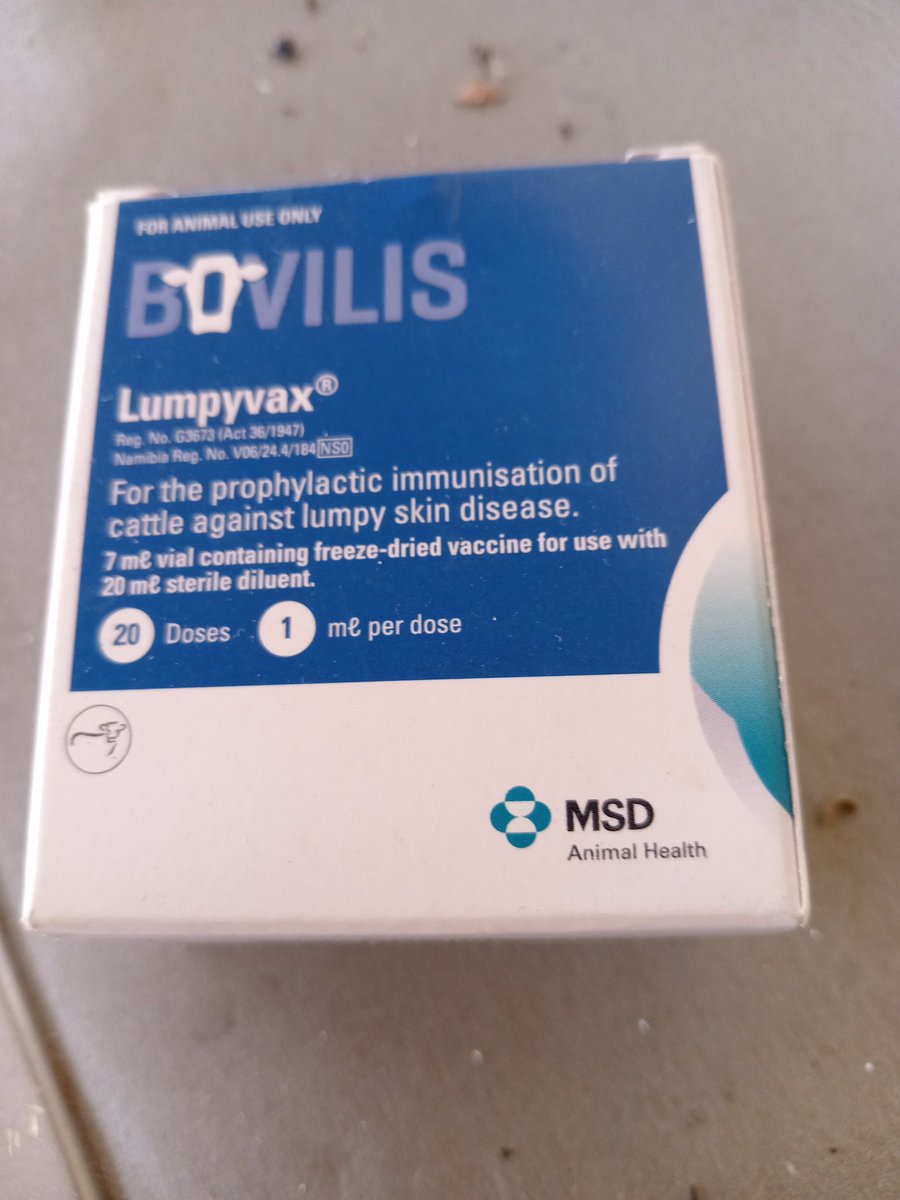 Jennefer  tweet media