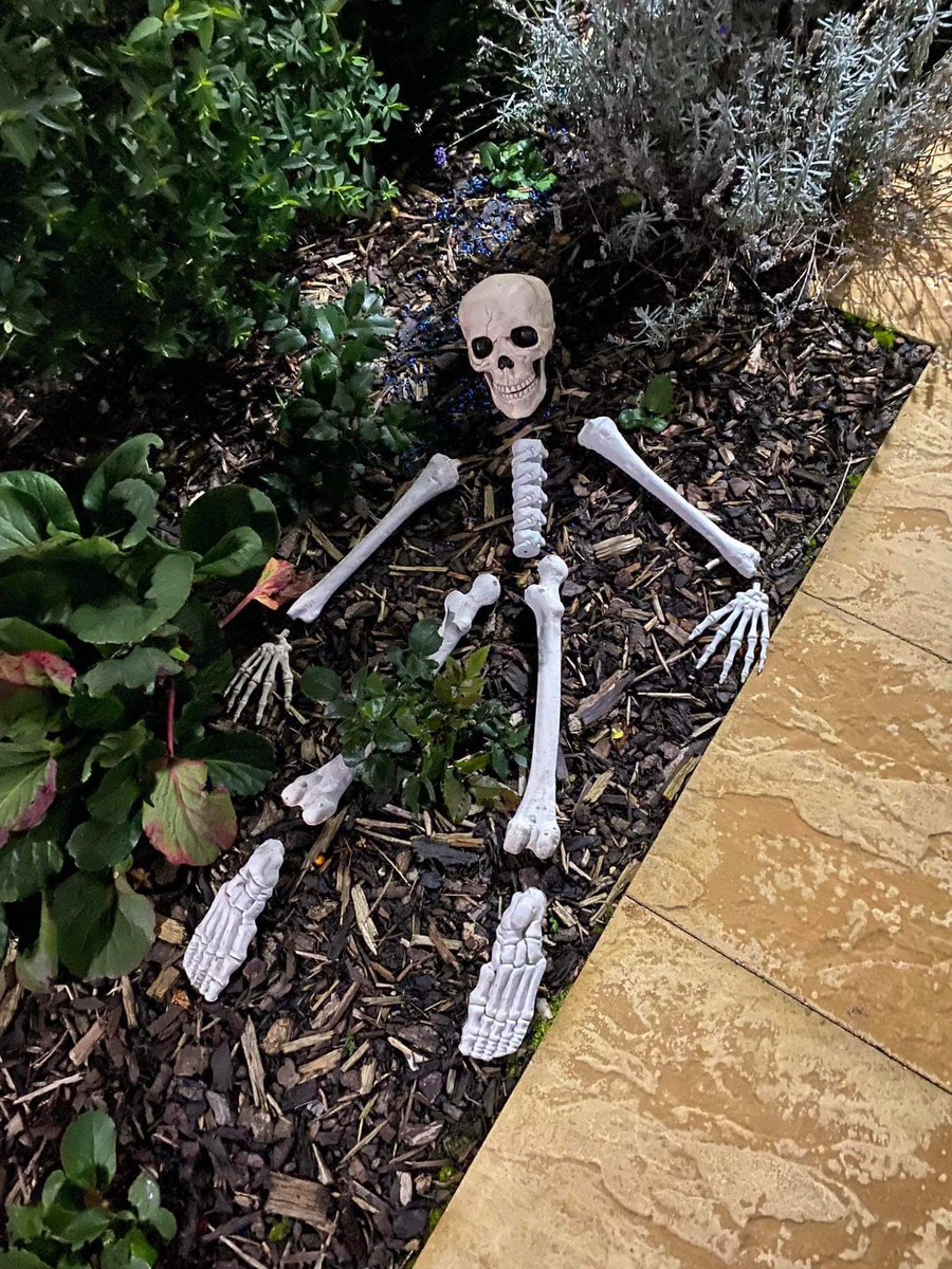 Stanton Cross tweet media