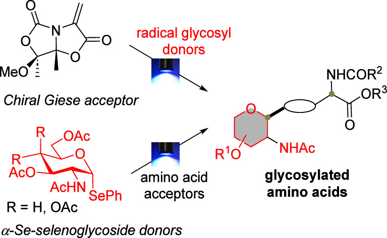 Ya está en abierto nuestro último trabajo sobre reacciones fotoredox en carbohidratos. Desde <a href="/unirioja/">Universidad de La Rioja</a> en <a href="/ACS_Omega/">ACS_Omega</a>: "Exploring Photoredox Catalytic Reactions as an Entry to Glycosyl-α-amino Acids" pubs.acs.org/doi/10.1021/ac…