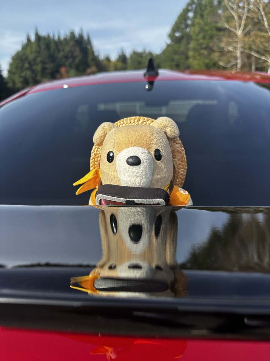 Honda_Access's tweet image. 突然のクイズタム～～～‼
今くるタムは、どこにいるでしょう❓❓
Modulo、Modulo X といえばなスポット…📍✨

当ててくれないと、スポイラーに映るくるタムがいたずらしちゃうゾ～👻🍬

#Modulo #ModuloX #CIVIC #シビック
#Halloween