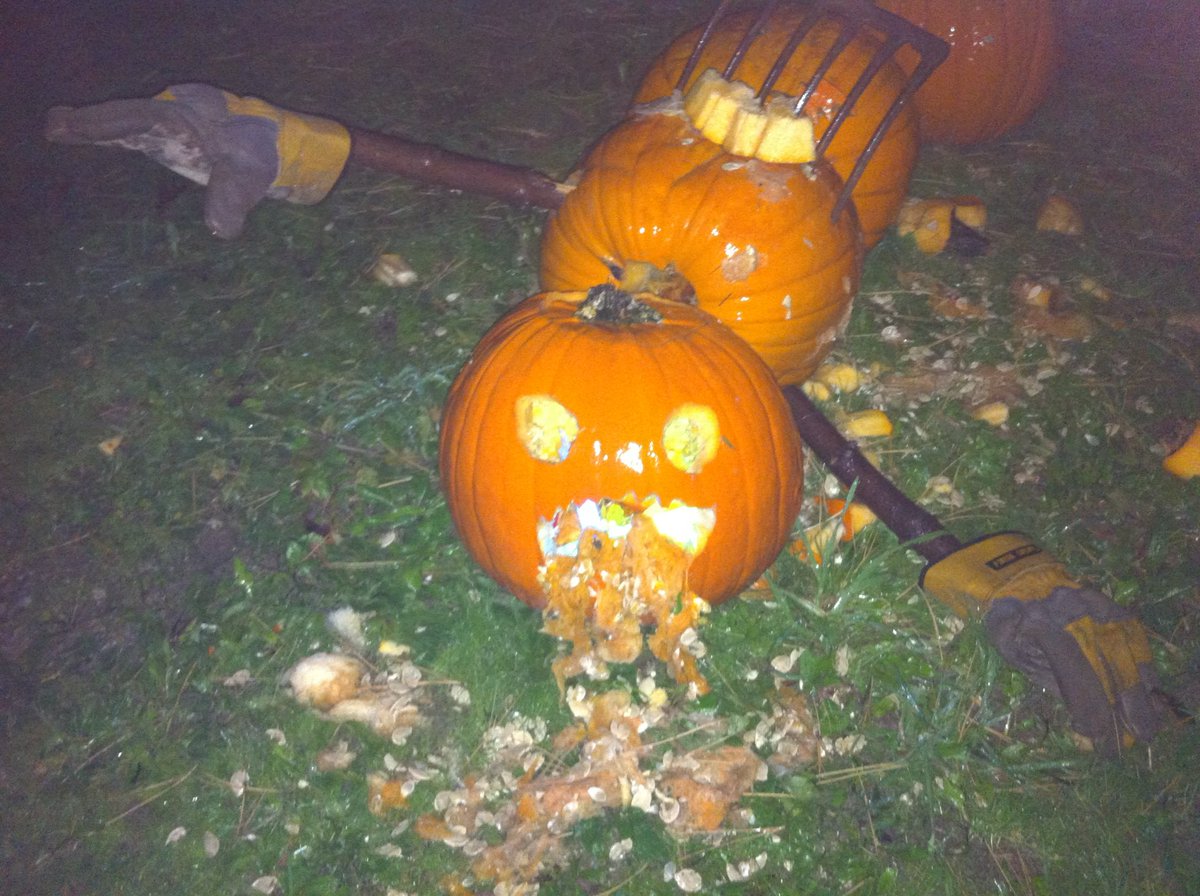 MariMuffi's tweet photo. HAPPY HALLOWEEN!๐๐ป๐
#halloween #trickortreat #pumpkins #candy #Guising #havefunstaysafe https://t.co/sBFNxoLikZ