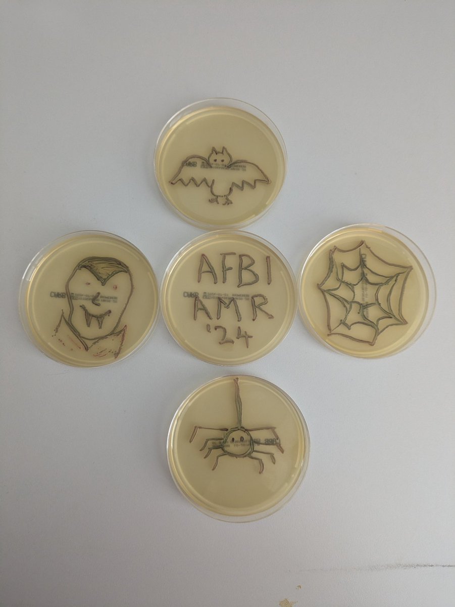 c_couzens's tweet photo. Happy Halloween from The AFBI AMR Lab! Our fangtastic Scientists have been having fun with Agar Art!!
@AFBI_NI @AFBI_EMbI #AMRart #Halloween https://t.co/OPaxv496Uq
