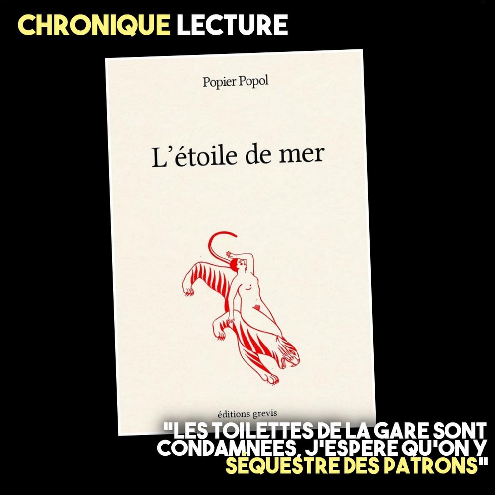 📖 CHRONIQUE LECTURE

«L'étoile de mer», Popier Popol, Éditions Grévis, 2023.

L'avis de notre experte : Je voulais démarrer cette chronique avec une citation, mais chaque phrase est une punchline décapante qui mériterait d’être citée.

1/2 ⤵️