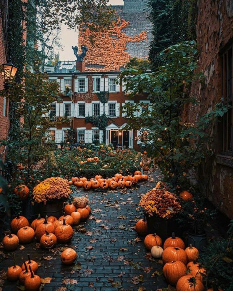 nycfeelings's tweet photo. Happy Halloween
#Halloween https://t.co/3N9qSj3C7r