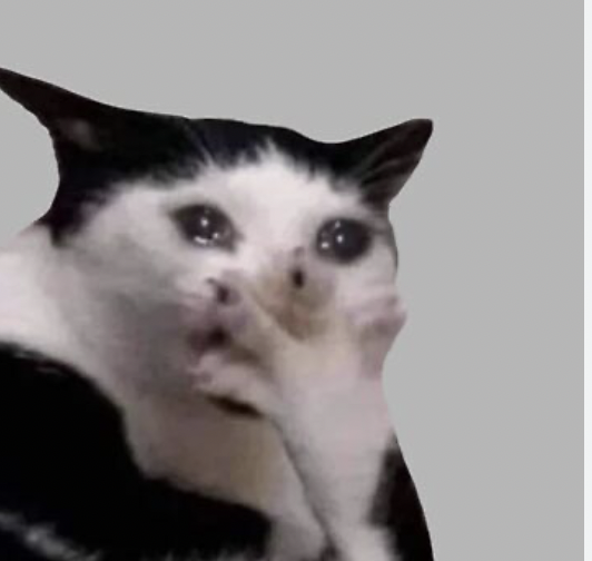 tofeelinalive's tweet photo. ik moet zo veel deadlines halen ik ga echt janken https://t.co/hEB9AOju1b