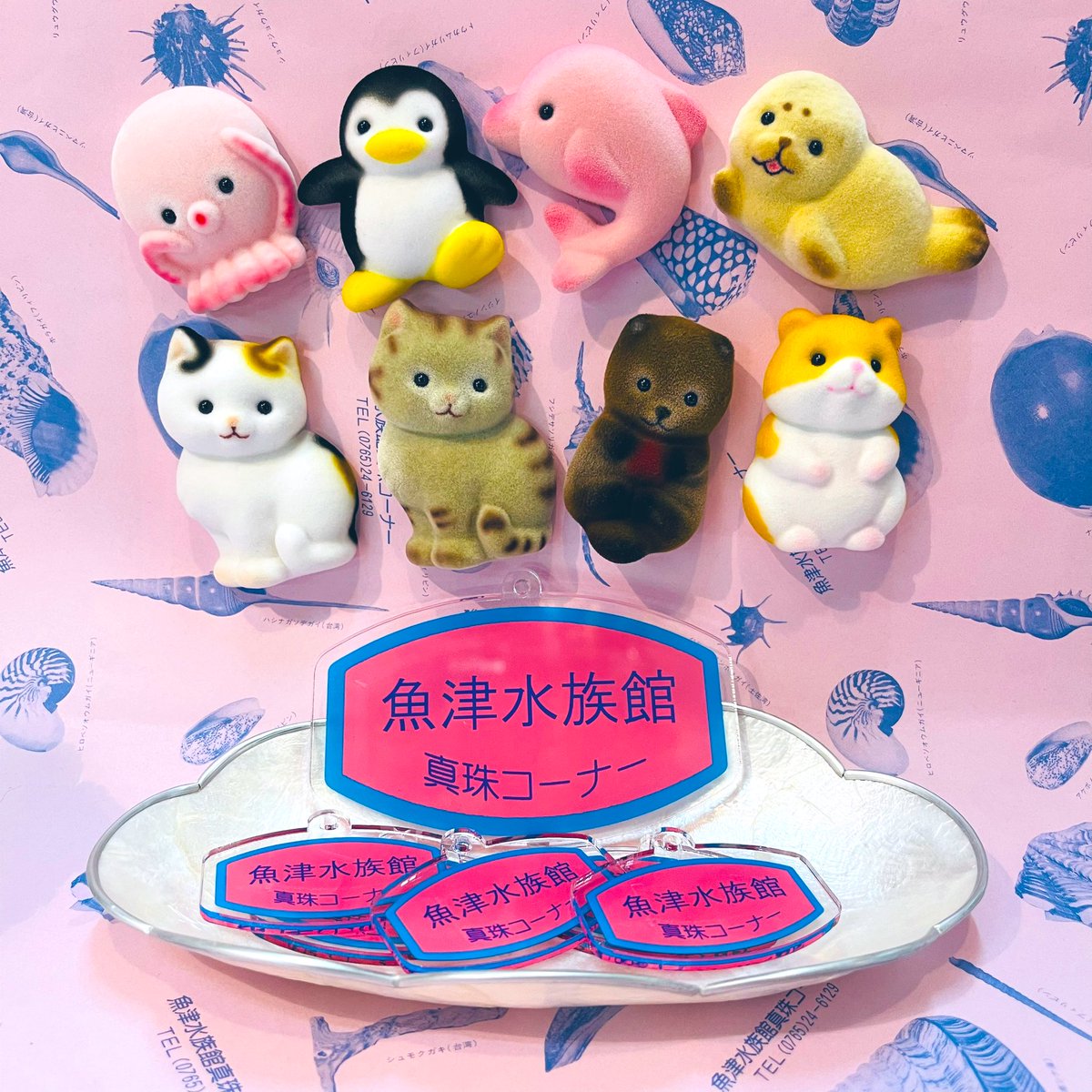 3連休前ギリギリ、フロッキーのマグネットが入荷致しました❣️まだ