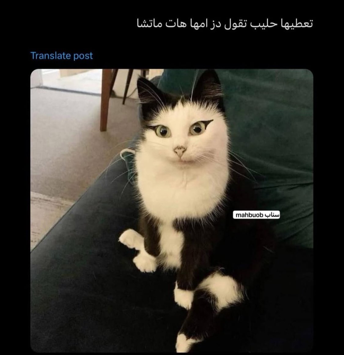 doon163's tweet photo. #ميمز https://t.co/M2X1Ua1vc4