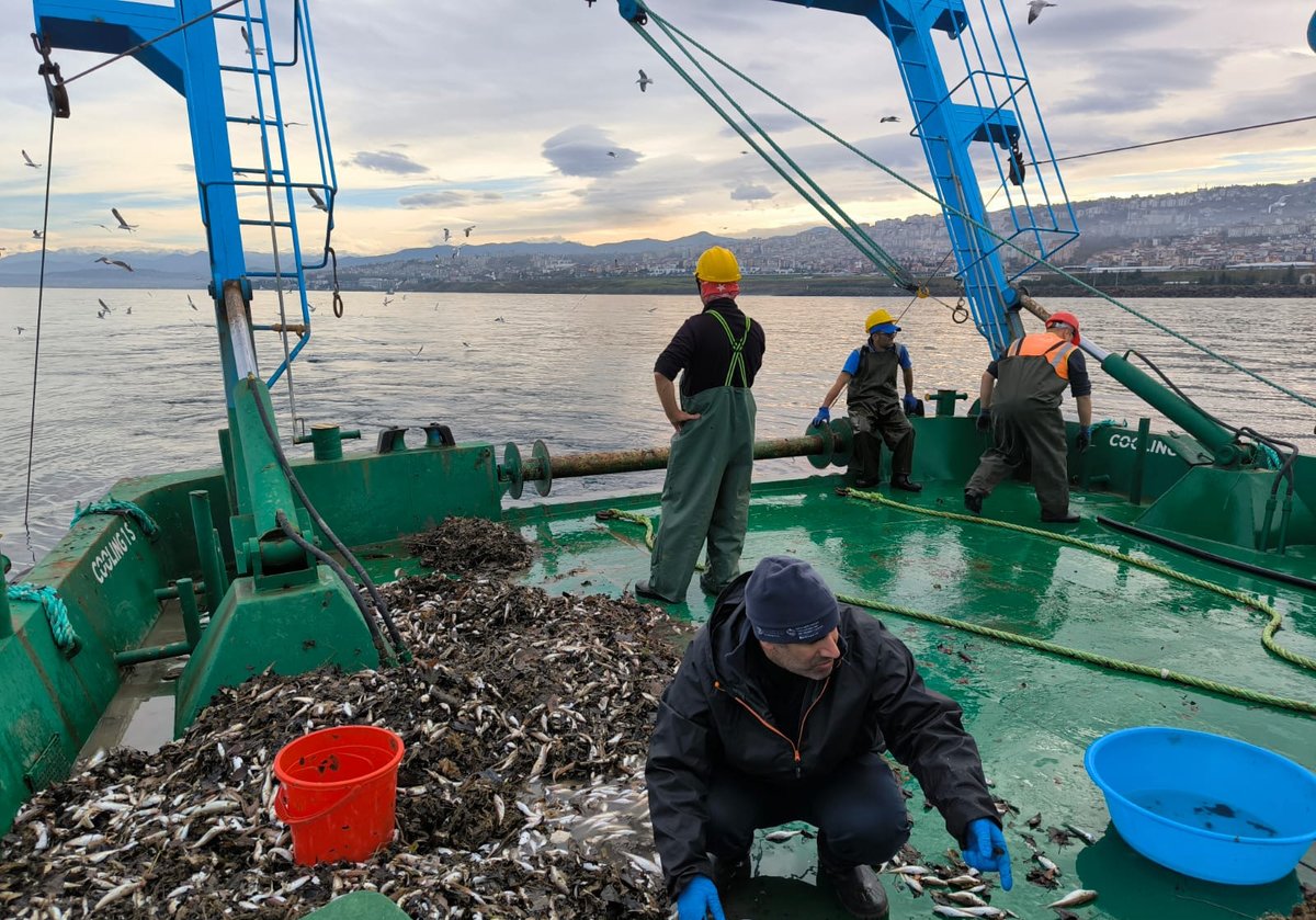 General Fisheries Commission for the Mediterranean tweet media