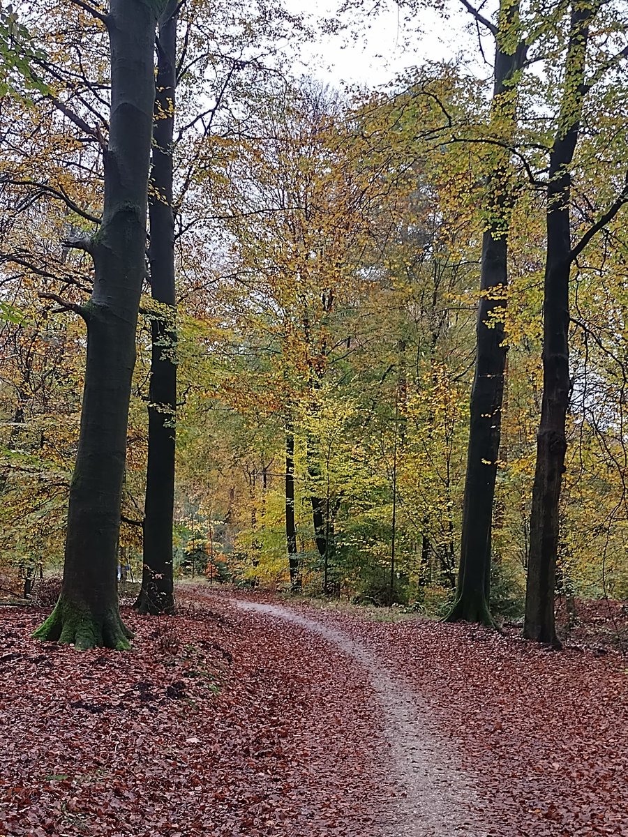 Martin Elout (@pancramart) on Twitter photo 