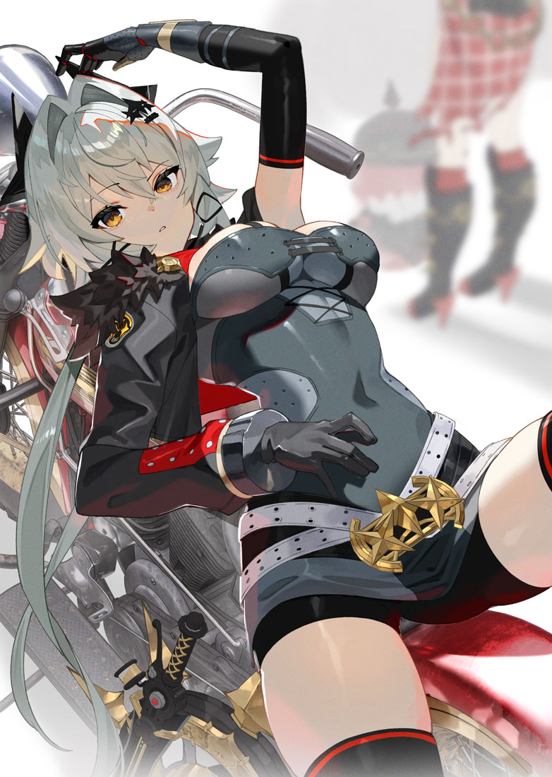 スコッティ tweet media