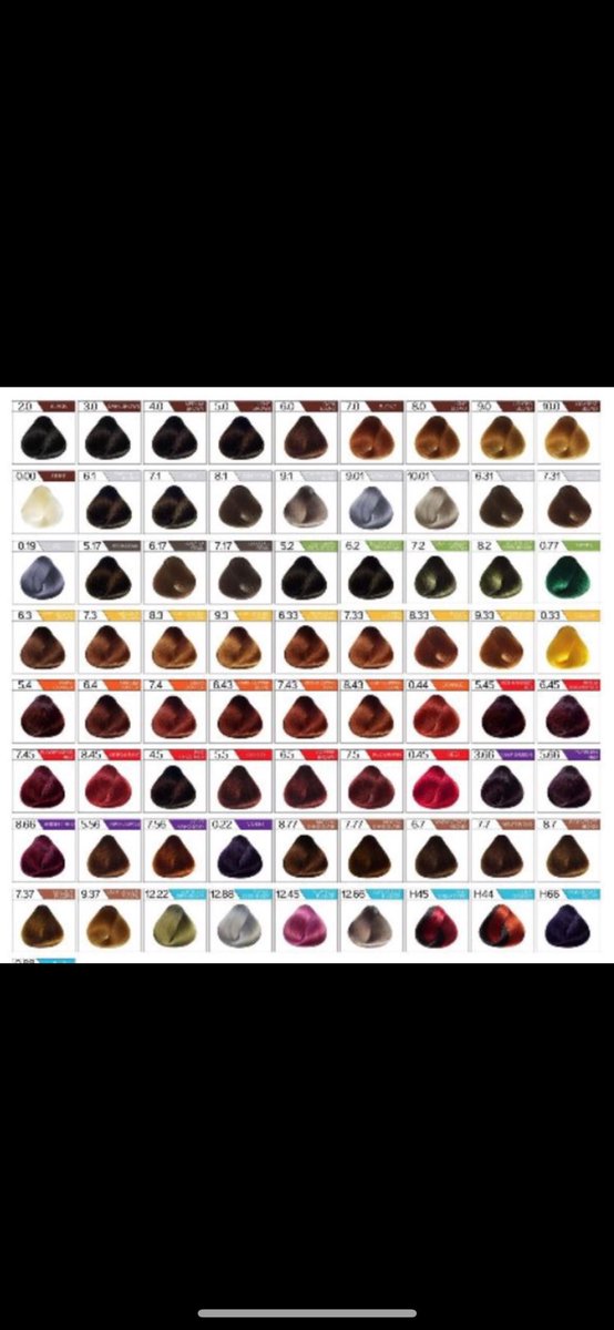 Lf acad commissioner PH
Commissioner 
Digital sketch or render?
Make the chart digital, to post online ksi
2nd pic is the sample outcome po
700 budget (with revisions po if everr

Within manila/laguna lang po sanaa coz i have to send the chart to u
hindi po madiff colors sa pic😭