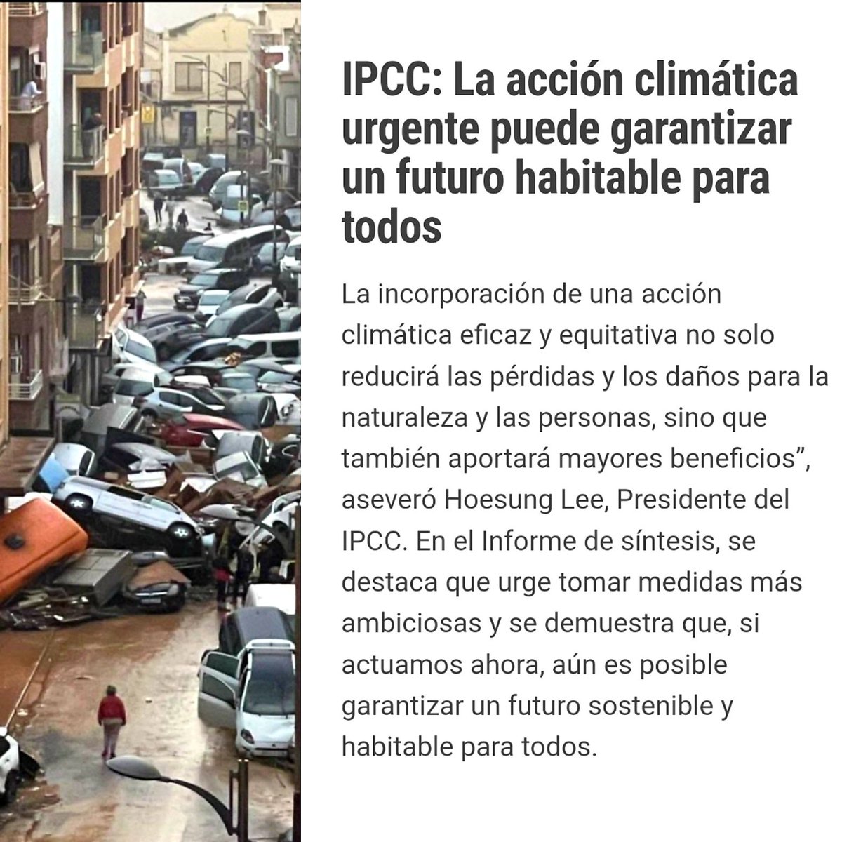 En España nos preocupamos más por los toreros, el fútbol y la pandereta. La ausencia total de conocimiento del funcionamiento de la naturaleza genera un mundo lleno de muerte y de dolor. 🙏🌍

#dana
#emergenciaclimatica