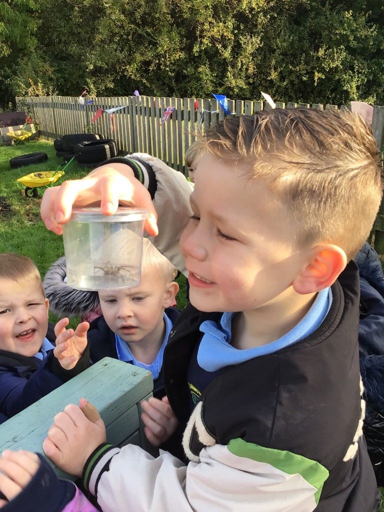 MonkwoodPrimary's tweet photo. 🕷️ Last week in FS1, the final rhyme they have been learning is Incy Wincy Spider! The children loved going into our woodland area and finding real spiders. Can you remember how many legs a spider has? 
 
Everyone has worked super hard this half term, and we are so proud! 😊👏 https://t.co/Brk7RwJD1W