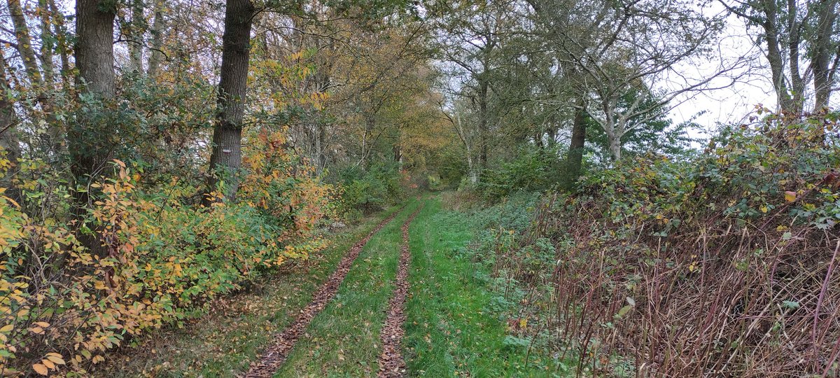 Ik vind het een leuk initiatief.
Ik vraag iedereen die van de natuur houdt een foto te plaatsen. Een foto die jijzelf genomen hebt. Alleen een foto, geen omschrijving. Het doel is om een beetje rust en balans in de negatieve sfeer te creëeren. Doe je mee? Kopieer de tekst en deel