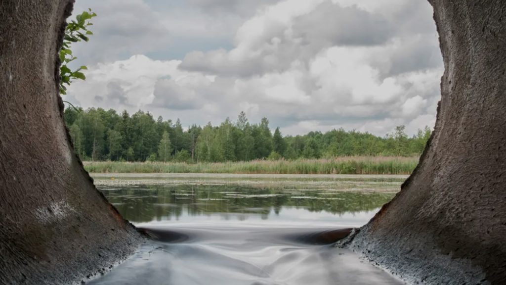 »Det er landbrugets skyld,« siger mange – men er det hele sandheden? dlvr.it/TFvwLn